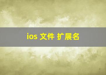 ios 文件 扩展名